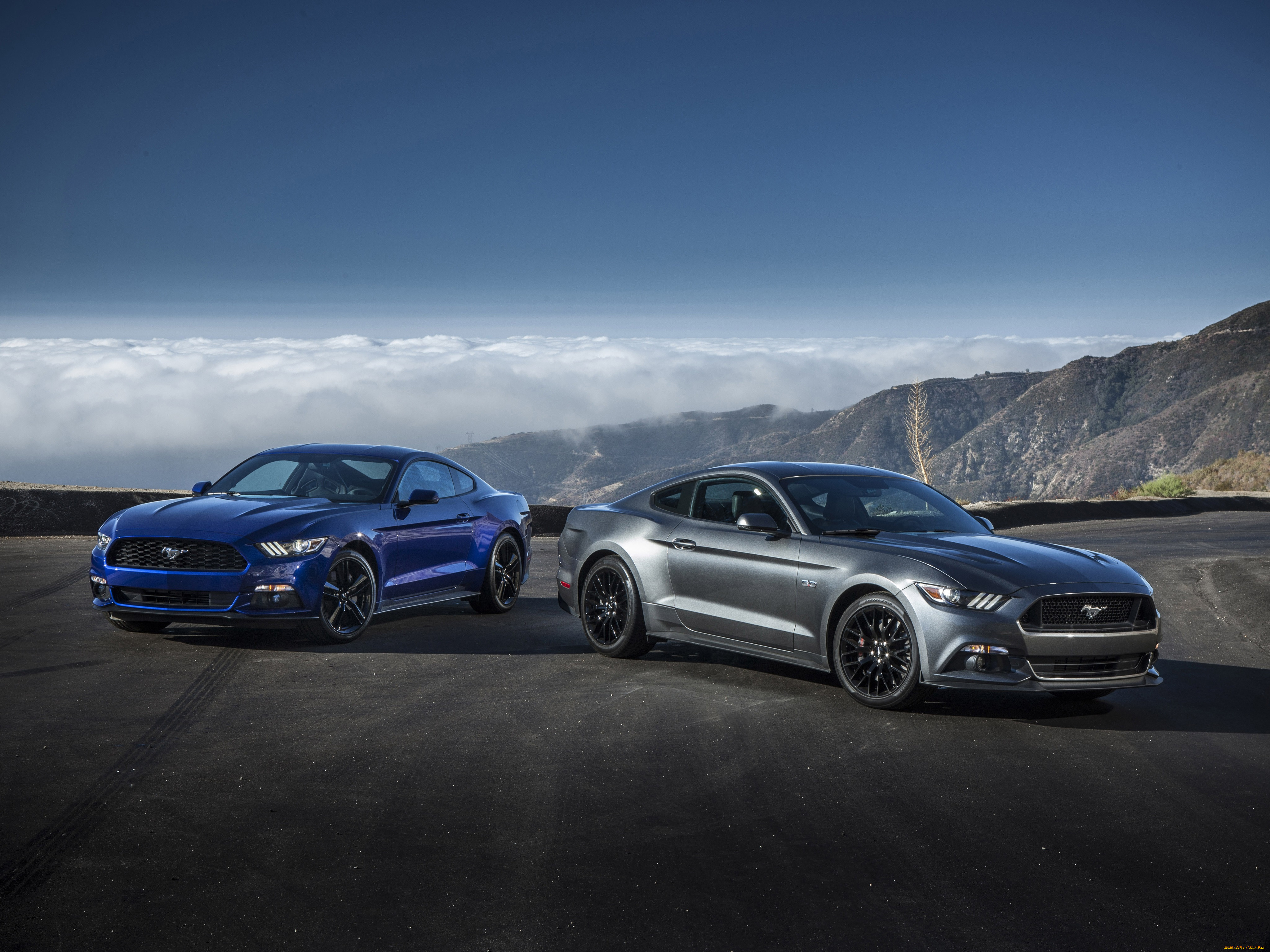 , mustang, gt, ecoboost, ford, 2015